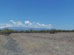 Wilayah Wisata di TN Gunung Tambora Akan Jadi Eco Tourism