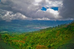 Akhir Pekan Seru, Mendaki Gunung Cikuray di Garut