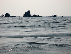 Gugusan Karang Keren di Pulau Salah Namo, Sumut