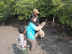 Serunya Mencari Kepiting di Teluk Pangpang, Banyuwangi