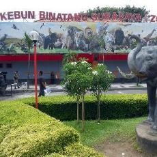 Liputan di KBS? Ini Aturan Khusus Media Televisi