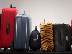 Kesal Disuruh Timbang Koper, Turis Ini Tampar Petugas