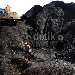 Harapan Perusahaan Batu Bara ke Jokowi, Ada Kebijakan Libur Bayar Pajak