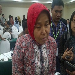 Dulu Ingin Agar Swasta Boleh Jual Listrik, Wanita Listrik Kini Kecewa