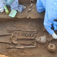 Kerangka Manusia Berusia 5 Ribu Tahun Ditemukan Masih Utuh di India