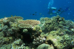 Hai Kamu! Jangan Bom Takabonerate