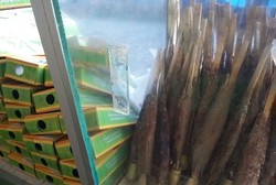 Sate Bandeng, Buah Tangan Nikmat Menggoda Dari Banten
