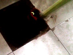 Penyebab Hawa Panas di Lantai Rumah Tedjo Terkuak, Ternyata karena Listrik