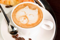 SCAI, Adakan Indonesia Latte Art dan Cup Taster Championship 2015 di FHI 2015