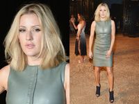 Fifty Shades of Grey Ellie Goulding