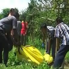 Seorang Kakek Ditemukan Membusuk di Kebun Jeruk Milik Warga