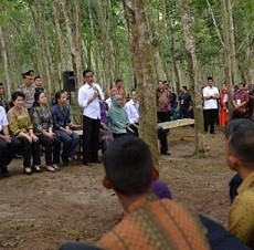 Presiden Jokowi Awali Pembagian Kartu Indonesia Sehat di Sumut