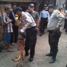 Seorang Wanita Ditemukan Tewas Mengenaskan di Dalam Gubuk Kayu
