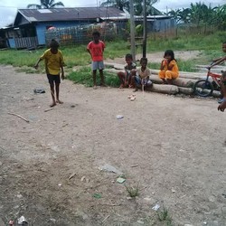 Kehidupan di Wanam Merauke, Tanpa Sinyal Ponsel dan Listrik Padam 18 Jam