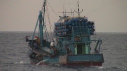 Illegal Fishing di RI, Menteri Susi: Dulu Terkubur Rapi dan Baru Terkuak