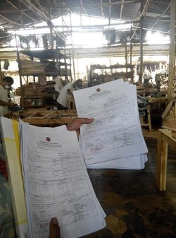 Illegal Logging Masih Marak, Sertifikat Legalitas Kayu Diminta Tak Dihapus