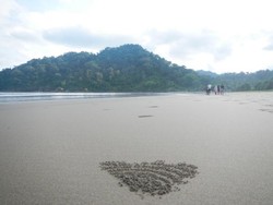 Cantiknya Pantai Rajegwesi Seperti dalam Mimpi