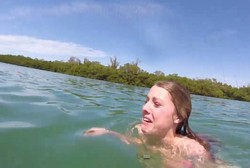 Heboh! Video Turis Berbikini Panik Dihampiri Sapi Laut