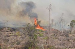 Hari ini Muncul 72 Hotspot di Sumatera, Riau Terbanyak