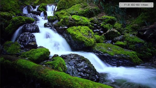 Hasil Jepretan LG G4 yang Memikat