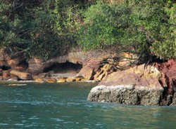 Pulau di Sumut Ini Punya Deretan Tebing Batu yang Keren