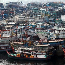 Sayang, Menteri Susi Berhasil Bikin Ikan RI Bertambah Tapi Listrik Tidak Ada
