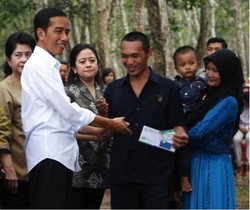 Blusukan ke Kebun Karet, Presiden Jokowi Bagikan KIS Untuk Buruh