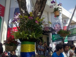 Bunga Anggrek dan Kadaka Perindah Jalan Asia Afrika Bandung