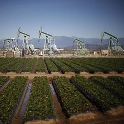 Timur Tengah Damai, Harga Minyak Turun