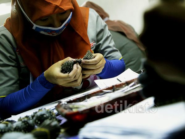 Melihat Produksi Pulpen Standardpen