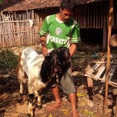 Warga Tuban Ini Punya Bisnis yang Tidak Biasa, Apa Itu?