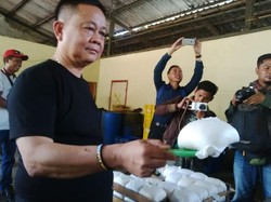 Efek Makan Makanan Berformalin: Kena Kanker Hingga Masalah Ginjal