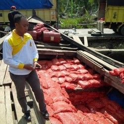 Polisi Amankan 45 Ton Bawang Merah Selundupan Asal Malaysia