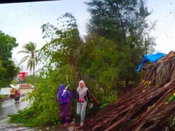 Hujan dan Angin Kencang di Aceh, 1 Warga Ditemukan Tewas Terhimpit Pohon