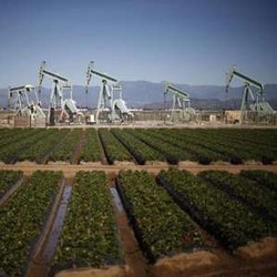 Butuh 15 Tahun Untuk Dapat Migas di RI, 5 Tahunnya Sibuk Urus Izin