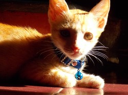 The Cute Sun Bathing Boy