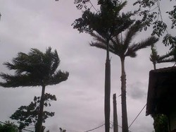 BMKG: Angin Kencang di Jakarta Bertahan Hingga Seminggu ke Depan