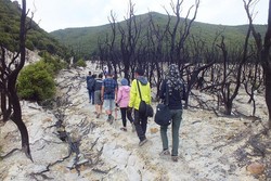 Yang Cantik & Eksotis di Gunung Papandayan