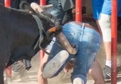 Ngilu! Pria Ini Diseruduk Banteng Tepat di Pantat