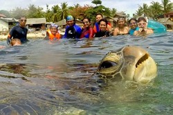 Mungkin Ini Fotobom Paling Lucu Oleh Seekor Penyu!