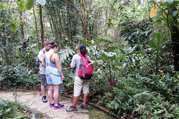 Kinabalu Park, Penampakan Taman Nasional Ala Malaysia