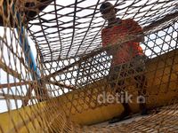 Melihat Aktivitas Penduduk Pulau Harapan