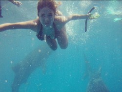 Nikita Mirzani Seksi Berenang Bareng Paus