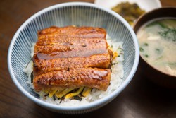 Gyudon dan Karedon, Nasi Bertabur Lauk yang Lezat (1)
