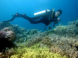 Sudah Berapa Banyak Turis yang Datang ke Surga Takabonerate?