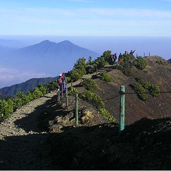 Lari Lintas Alam di Gede-Pangrango Digelar Perdana 2 Mei