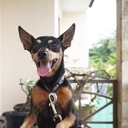 Smile at the camera!