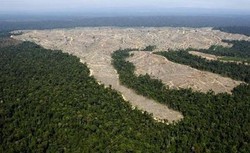 WWF Indonesia Dukung Praktik Petani Swadaya