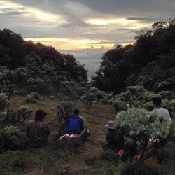 Napak Tilas Soe Hok Gie ke Gunung Pangrango