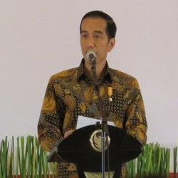 Jokowi: Ekonomi Januari-Februari Lesu, April Sudah Mulai Naik